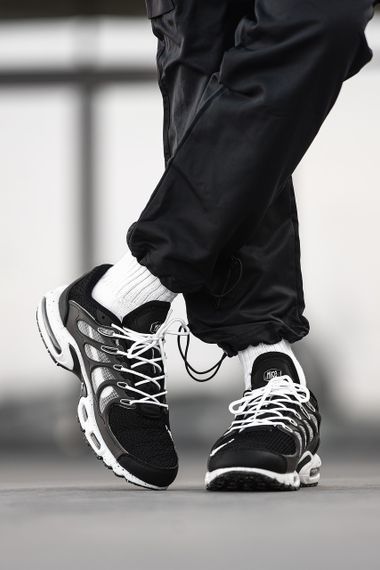 Кросівки N-i-k-e Air Max TN Terrascape 42 | Зображення 2