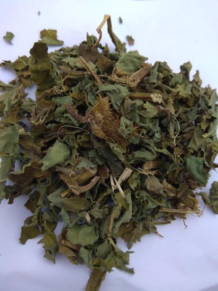 500г. Дурнишник звичайний / Нетреба звичайна, 500г.