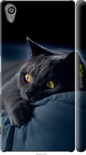 Чохол на Sony Xperia Z5 E6633 Димчастий кіт "825m-274-2448"