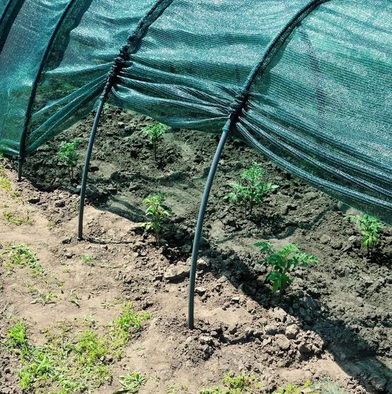 Накриття рослин від сонця Shadow 3 м 120 х 80 см, затінення 80% (НДРС0008) | Зображення 3