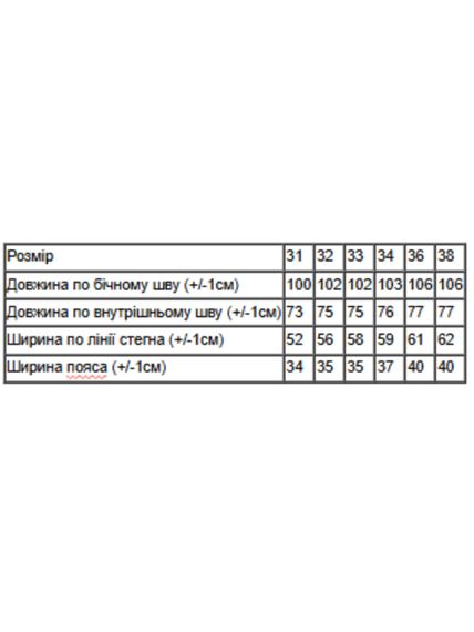 Зимові чоловічі джинси на флісі карго (плюс сайз) Носи своє 34 Чорний (p-18253-215910) | Зображення 7