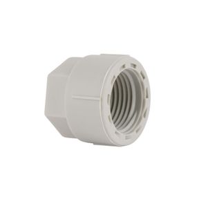 Заглушка PPR Blue Ocean з різзю 20х1/2" ВР