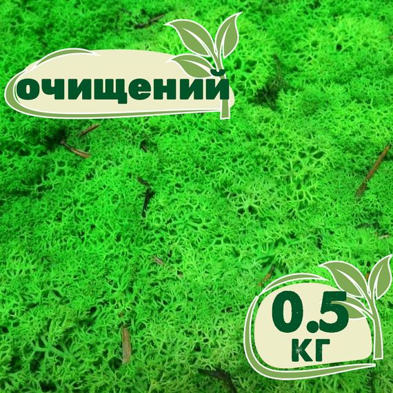 Очищений стабілізований мох ягель Зелений трав'яний світлий 0,5 кг