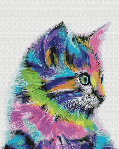 Котик у фарбі