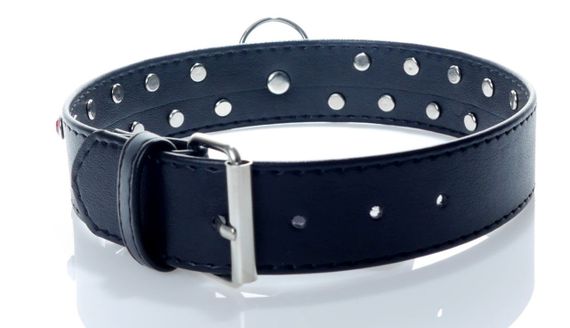 Нашийник зі штучної шкіри з кристалами Fetish Boss Series - Collar Red Crystal, BS3300122 sexstyle | Зображення 1