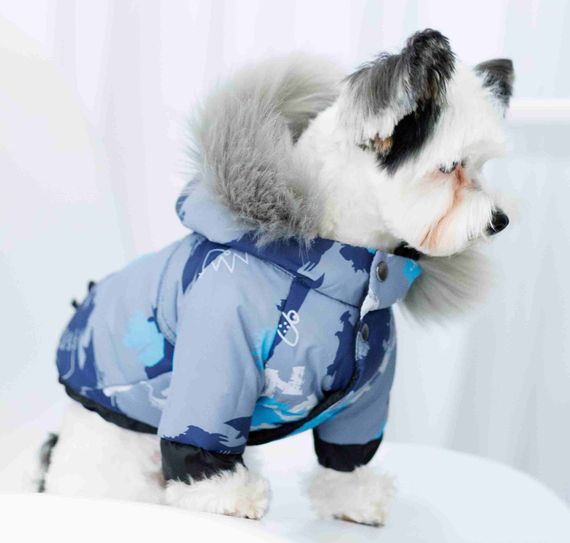 Комбінезон зі знімними штанами арт CO-32 | Зображення 1