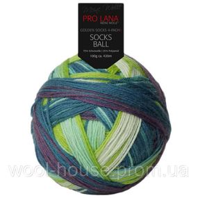 Шкарпеткова пряжа Pro Lana Golden Socks Ball, 06