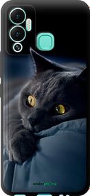 Чохол на Infinix Hot 12 Play Димчастий кіт "825b-2759-2448"