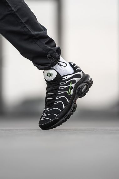 Кросівки N-ike Air Max TN Plus | кеди чоловічі 42 - 26,5 см | Зображення 1