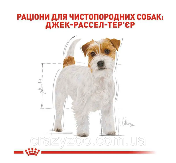 Сухий корм для собак породи джек рассел тер'єр Royal Canin Jack Russell Terrier 1.5 кг | Зображення 1