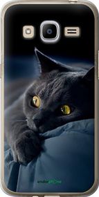 Чохол на Samsung Galaxy J2 (2016) J210 Димчастий кіт "825u-270-2448"