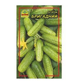 Насіння огірка Бригадний 0,5 г (Насіння країни)