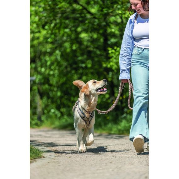 Повідок Trixie Cavo для собак регульований S–M 2 м діаметр 12 мм рожево-пісочний | Зображення 2