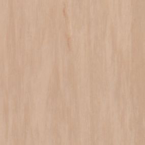 Лінолеум Tarkett Standard Plus Sand Medium 0914 (2m)