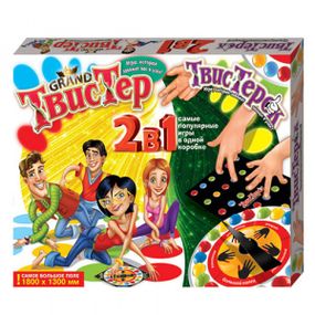 Напольная игра Danko Toys Гранд Твистер ДТ-БИ-07-22