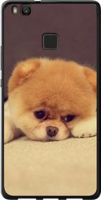 Чехол на Huawei P9 Lite Boo 2 "890u-298-17620"