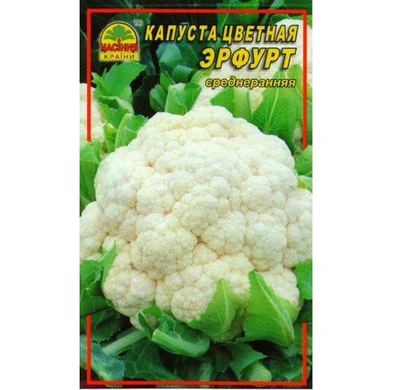 Насіння капусти кольорової Ерфурт 0,5 г