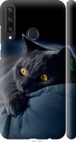 Чохол на Huawei Y6p Димчастий кіт "825m-1952-2448"