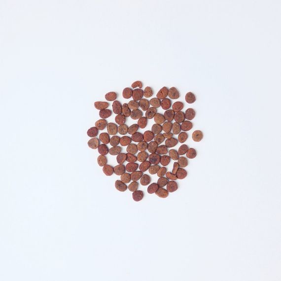 Корм сухий Carnilove True Fresh Cat Fresh Chicken для дорослих котів з куркою 4,8 кг | Зображення 1