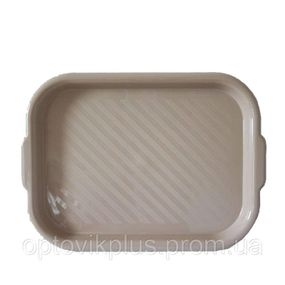 Пластиковий разнос 40см*25см