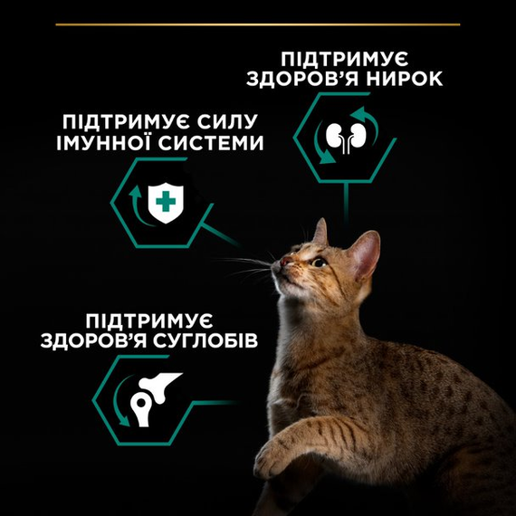 Сухой корм Purina Pro Plan Adult Renal Plus для кошек с курицей 10 кг | Зображення 6