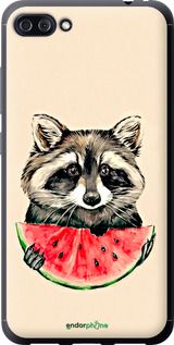 Чохол на Asus ZenFone 4 Max ZC554KL Єнотик з кавуном "4605u-1035-2448"