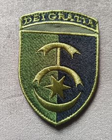 Шеврон 30 бригада Зелений