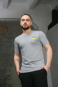Футболка чоловіча з прапором на грудях Intruder сіра (9614517126)