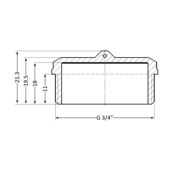 Заглушка Thermo Alliance Standart 3/4" НР SD40320 | Зображення 1
