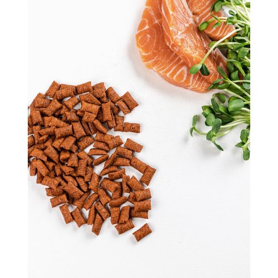 Хрумкі ласощі Savory Cats Snacks Pillows Gourmand with Salmon для дорослих вибагливих котів подушечки з лососем 60 г | Зображення 4