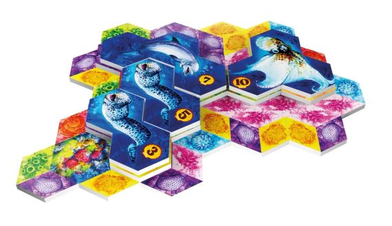 Настольная игра Aqua. Океанское биоразнообразие (AQUA: Biodiversity in the oceans) | Зображення 1