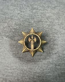 Беретний знак ВСП латунь