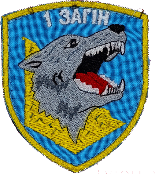 Шеврон 1 загоі / синій