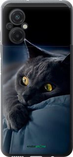 Чохол на Xiaomi Poco M5 Димчастий кіт "825u-2767-2448"