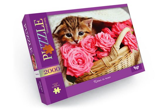 Пазли - 2000 елм. - C2000-01-01,02,03,04...10 серія 1 DANKO | Зображення 8