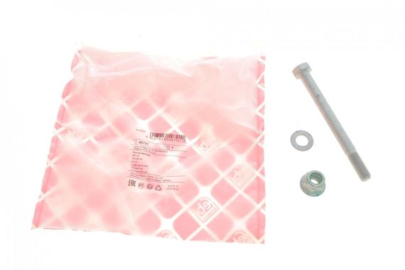 Болт важеля переднього Audi A4 A5 A6 A7 A8 Q5 94- к-кт  49701