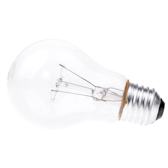 Лампа накаливания 40W E27 WW A60 CL Br 220V | Зображення 3