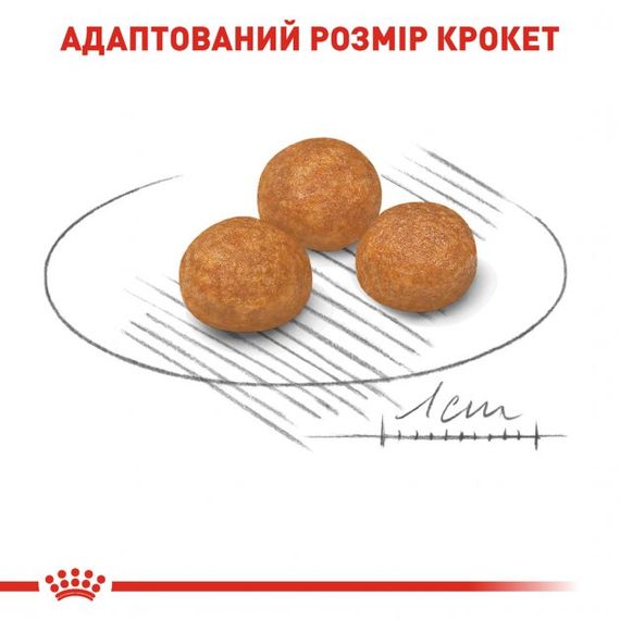 Корм Royal Canin X-Small Adult сухий для дорослих собак дрібних порід 1.5 кг | Зображення 4