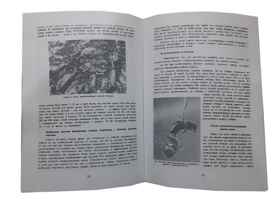 Книга "Контроль спарювання та селекція медоносної бджоли" Ф. Руттнер | Зображення 1