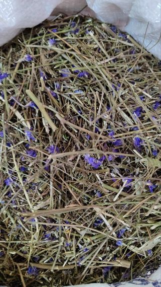 Сокирки / Живокіст польовий (трава), 100г.