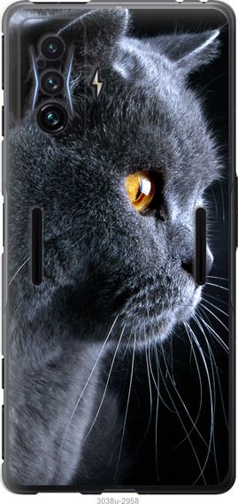 Чехол на Xiaomi Poco F4 GT Красивый кот "3038u-2958-17620"