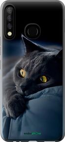 Чохол на Tecno Camon 12 CC7 Димчастий кіт "825u-2432-2448"
