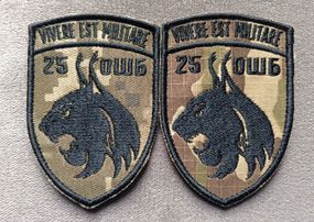 Шеврон 25 ОШБ (пиксель+мультикам)