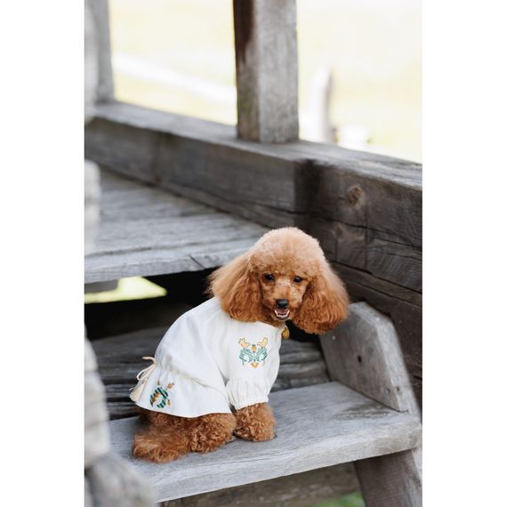 Вишиванка Maryana XS2 дівчинка | Зображення 6