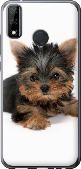 Чехол на Huawei Y8s Щенок йоркширского терьера "931u-2027-17620"