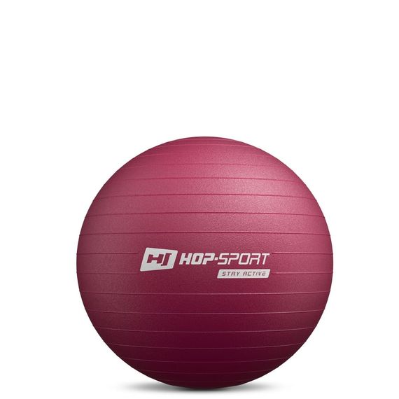 Фітбол Hop-Sport 45см HS-R045YB сливовий + насос | Зображення 1