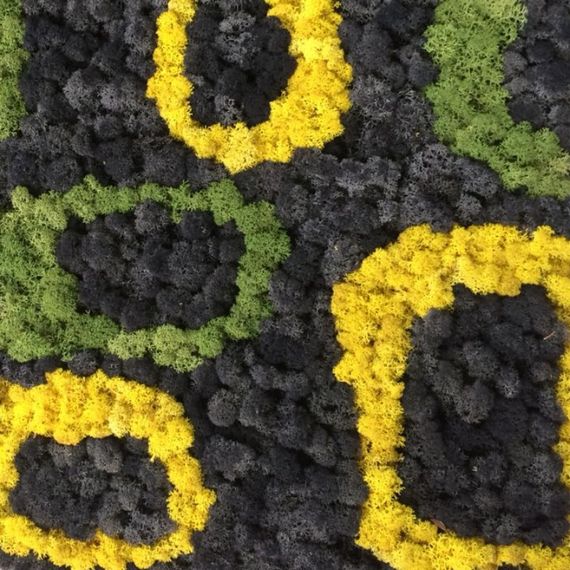 Очищенный стабилизированный мох ягель Nordic moss Желтый классический 5 кг | Зображення 3