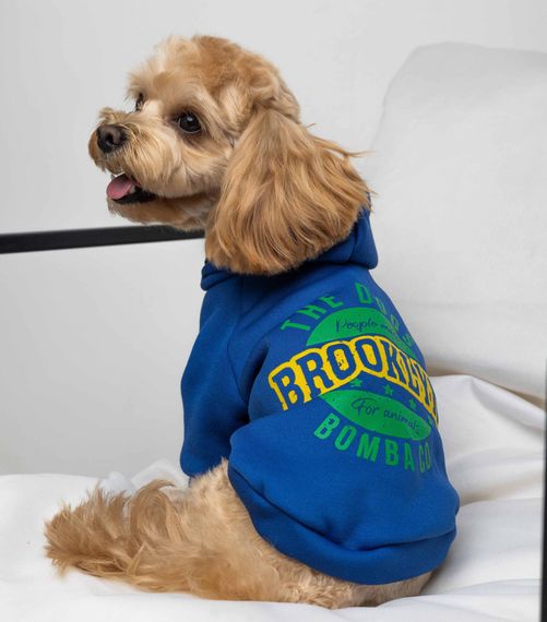 Толстовка Brooklyn синя Y-341