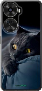 Чохол на Huawei nova 12 SE /  nova 11 SE Димчастий кіт "825u-3730-2448"
