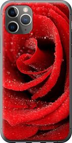 Чехол на iPhone 11 Pro Max Красная роза "529u-1723-17620"